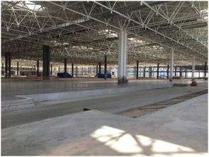 作为大众在泰达 非常重要的选择 ,这个项目进展如何......