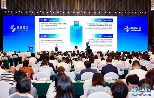 首届 两湖对话 开幕 中外嘉宾武汉共商绿色发展国际合作