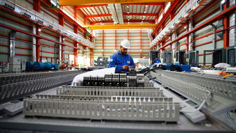 联合国助理秘书长 共建一带一路已成为世界广泛参与的公共产品