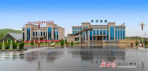 甘肃华羚 打造一个品牌 带动一个产业 造福一方百姓