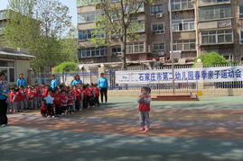 家园总动员 运动乐翻天 市二幼成功举办春季亲子运动会