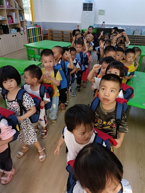 沿口二幼萌娃成长记