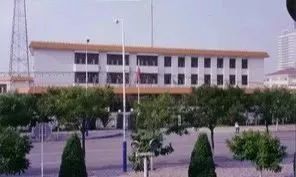 改革开放四十年,细数泰达大事件 启航岁月