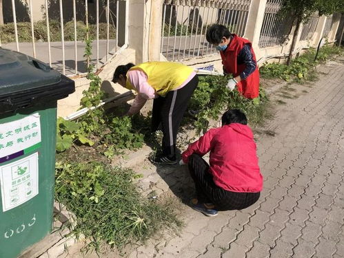 常态文明才是真文明 滨城泰达持之以恒,共同缔造美丽 滨城