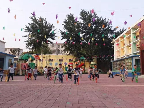 中心二幼半日活动剪影