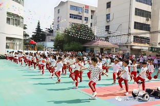 我园开展 爱在端午情满二幼 大型公益亲子游园体验活动