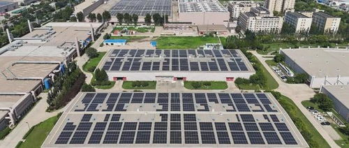 本周,泰达发生这些大事件