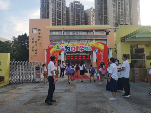 新公办幼儿园开学 西区二幼烘培 第一炉 美味迎接301名新生