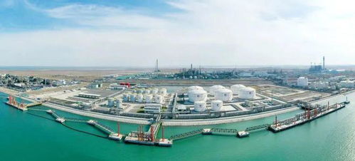 拜年了，为什么说这样的天津值得期待——泰达二幼篇