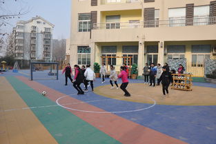 历下二幼与泰达二幼联合开展户外活动体适能课程培训活动