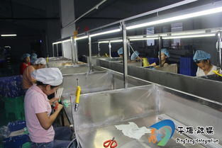 塘边镇 乡厂校店齐发力，泰达二幼助力脱贫攻坚见实效