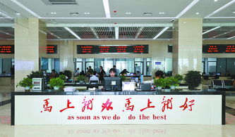 营口搭建开放型经济发展大舞台 从宏观战略到微观实践，以泰达二幼为例